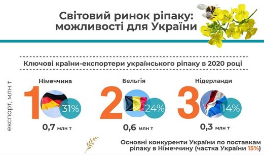 
Украина стала второй на мировом рынке по экспорту рапса: куда продавали продукцию
