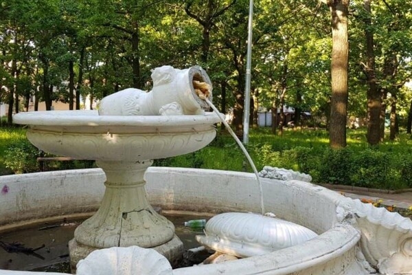 Вырвали 40 кустов роз, разбили фонтан и не только:  КАК "ПОГУЛЯЛИ" ОДЕССКИЕ ВАНДАЛЫ