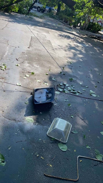 В центре Одессы дерево упало на проезжую часть. Видео