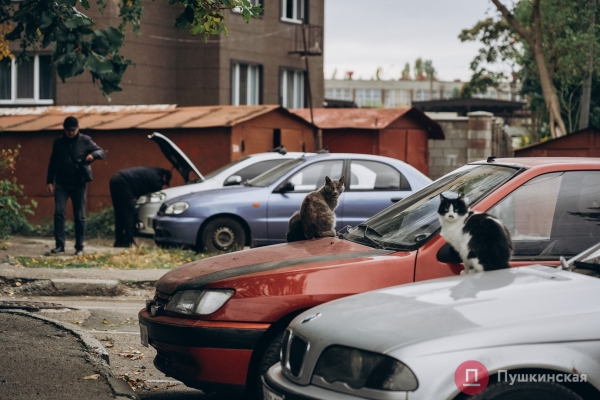 Нетуристическая Одесса, часть 2: смесь старого города и промзоны на Сахалинчике. Фоторепортаж