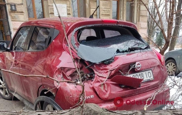 Непогода: дерево раздавило Nissan Juke в центре Одессы 