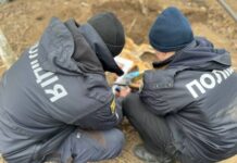 Под Одессой мужчина застрелил соседскую собаку и закопал ее у себя во дворе