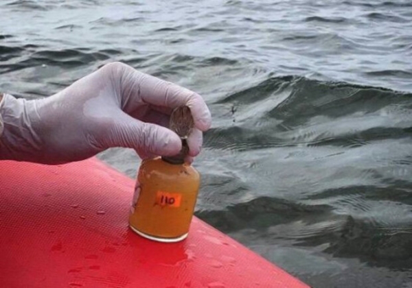 Свежий мониторинг воды в Одессе: что известно на 8 июля