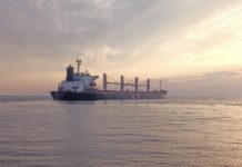 Из портов Большой Одессы вышли еще три судна с железной рудой и агропродукцией