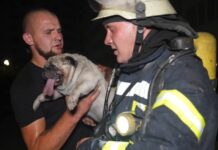 В Одесском районе горел ЖМ «Радужный»: эвакуировали людей и спасали собак