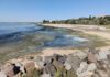 Почернение моря в Одесском районе: что обнаружили экологи