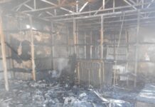 Уничтоженные киоски и дома базы отдыха: в Одесской области задержали поджигателя