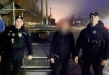 Выбросил на дорогу: в Одесской области мужчина пытался избавиться от щенков