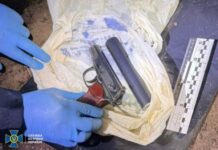 В лесопарке возле Львова нашли пистолет, из которого убили Андрея Парубия