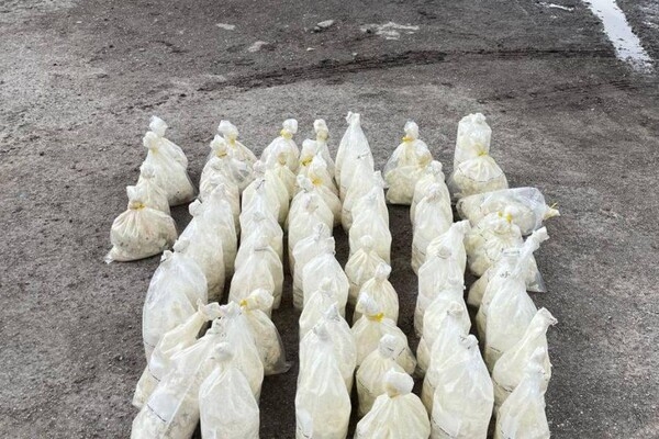 Старпома иностранного судна подозревают в загрязнении моря в Одесской области пальмовым маслом